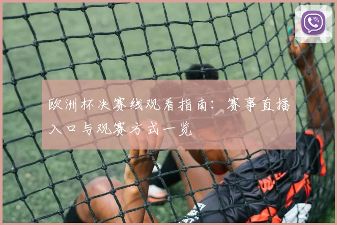 欧洲杯决赛线观看指南:赛事直播入口与观赛方式一览