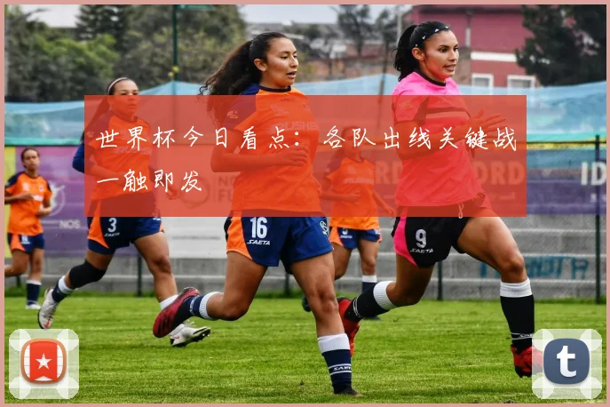 世界杯今日看点:各队出线关键战一触即发