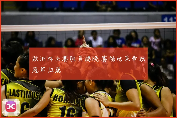 欧洲杯决赛胜负揭晓 赛场结果牵动冠军归属