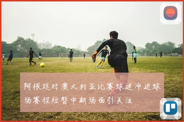阿根廷对澳大利亚比赛球迷冲进球场赛程短暂中断场面引关注