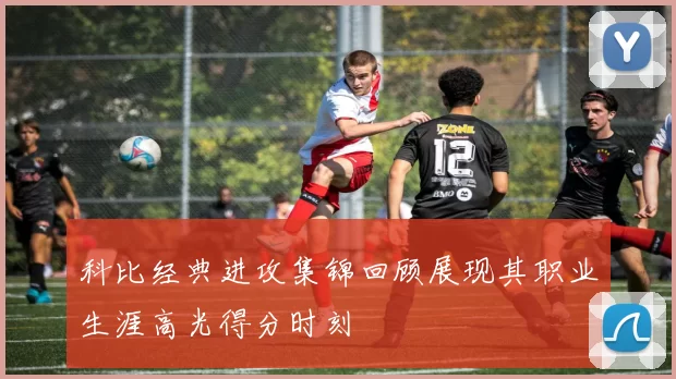 科比经典进攻集锦回顾展现其职业生涯高光得分时刻