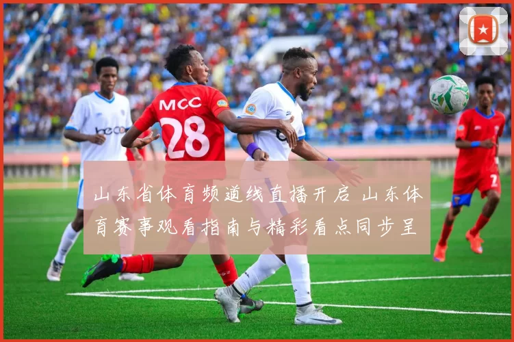 山东省体育频道线直播开启 山东体育赛事观看指南与精彩看点同步呈现